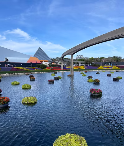 Gina's Disney vacation 10